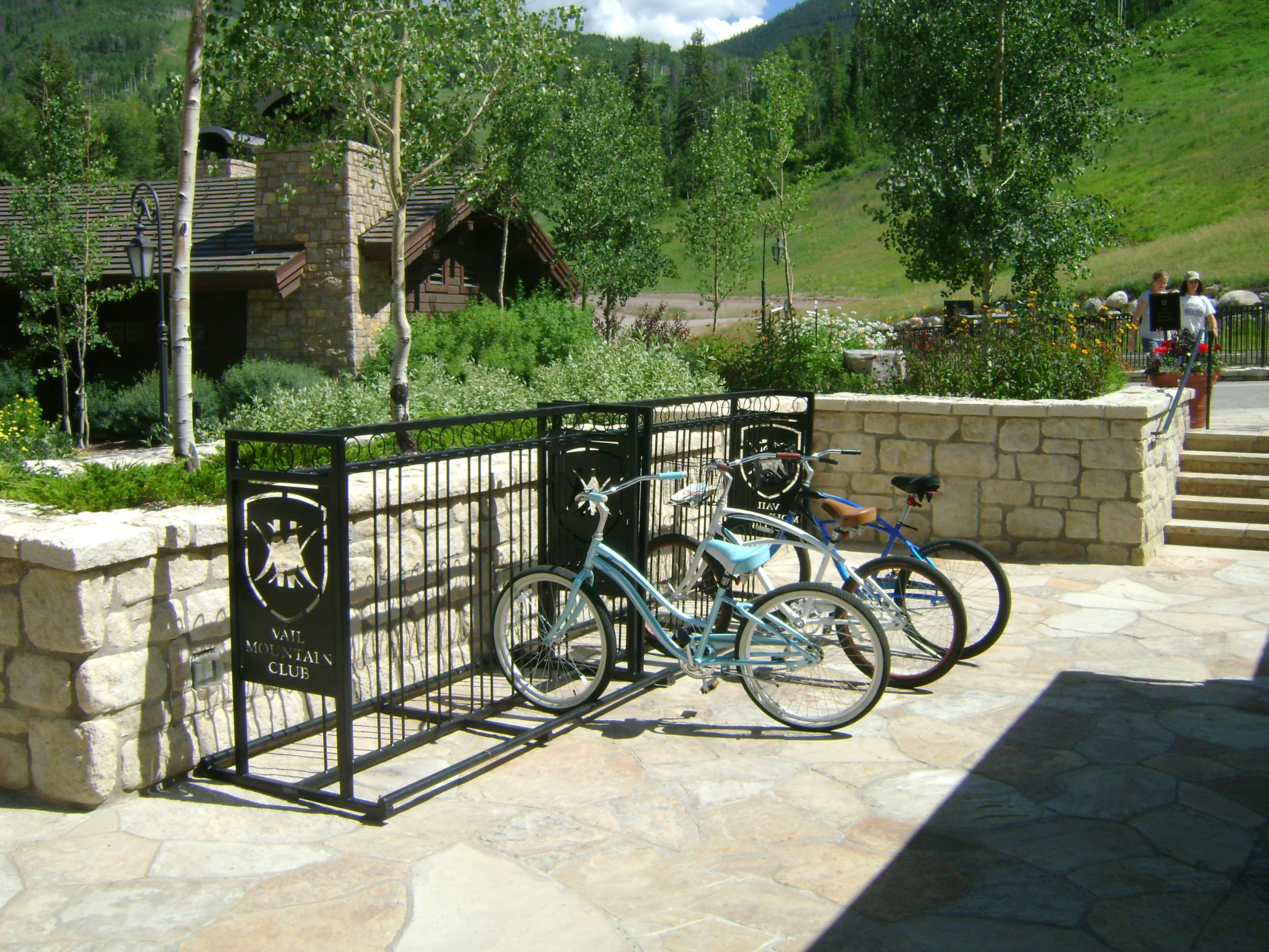 Atlanta Bike Rack Ski Rack Glossblack Resort