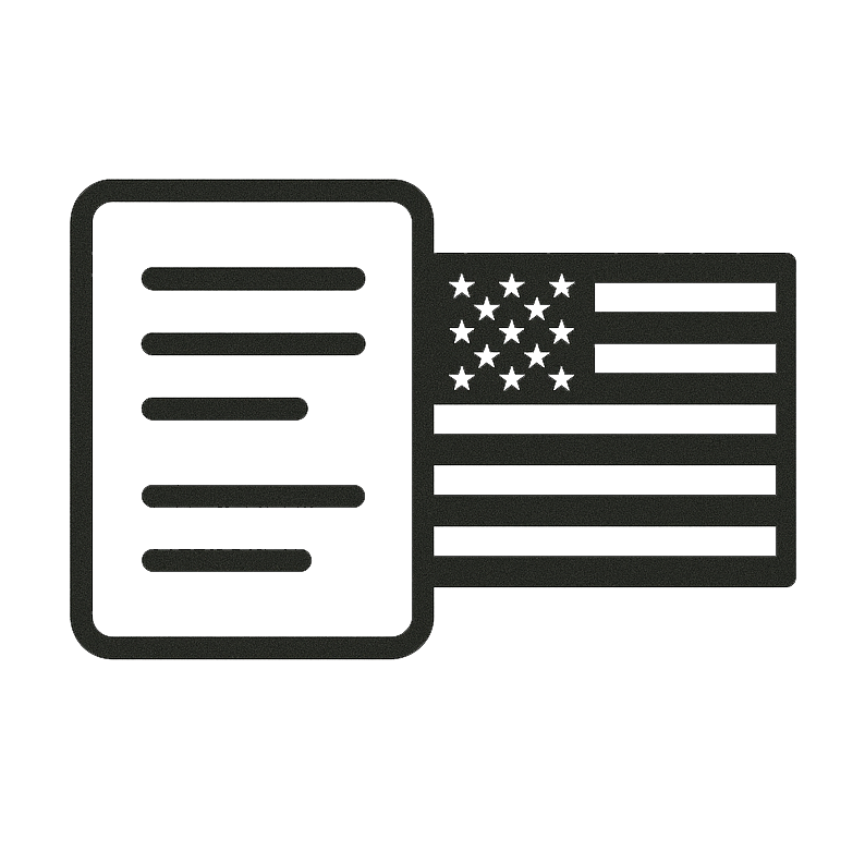 Usa Icon