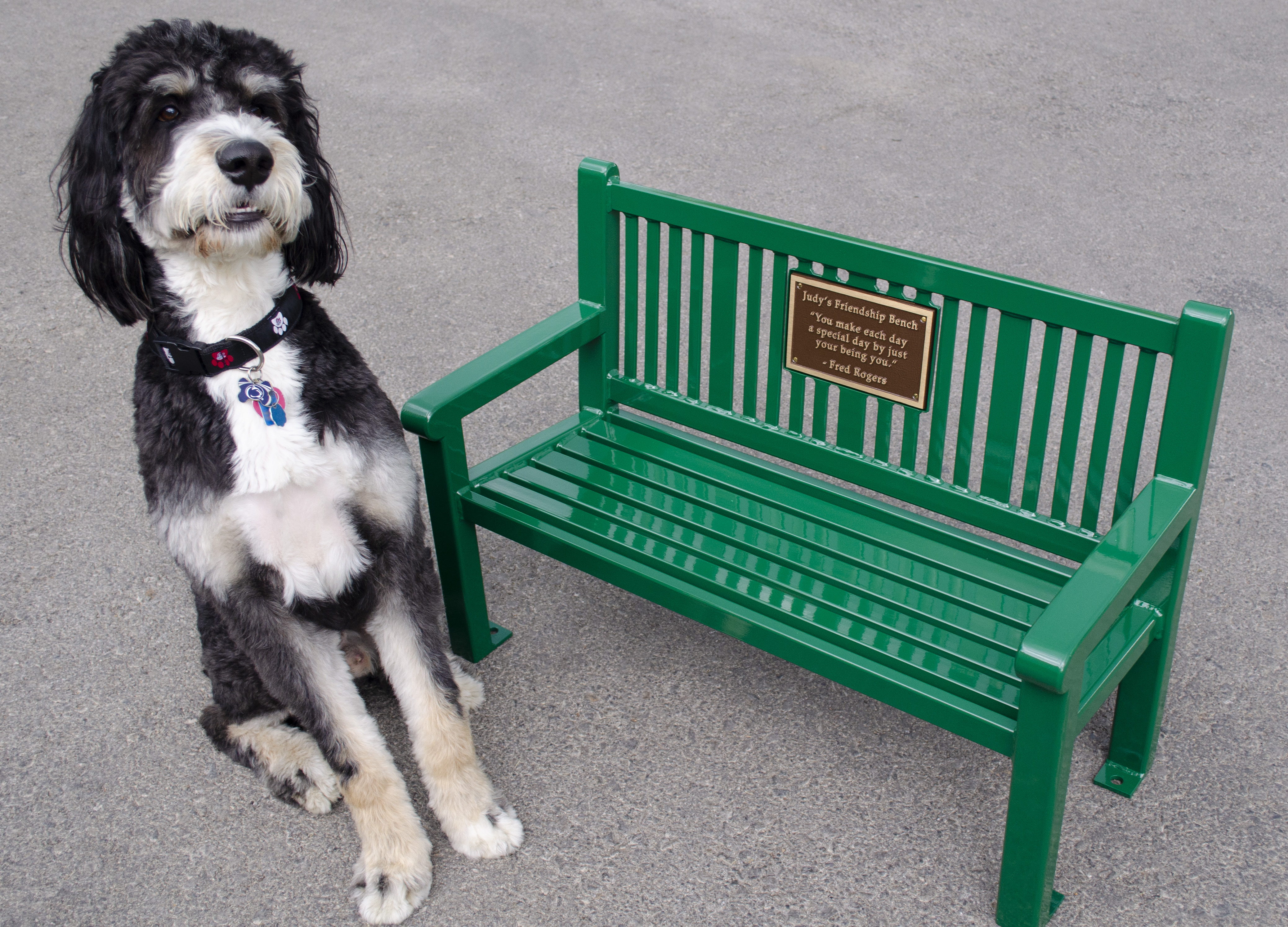 Childrens Reading Bench Plaque Huntergreen Dog