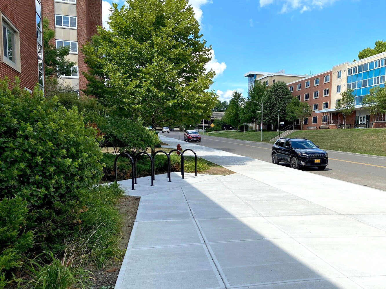 Sonance Bike Rack 1 Loop Glossblack Education Univeristy Cortlandny