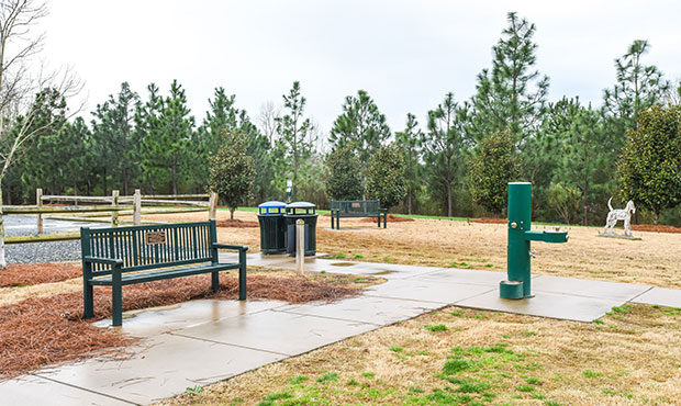 Blog Site Furniture Reading Benches Dog Park