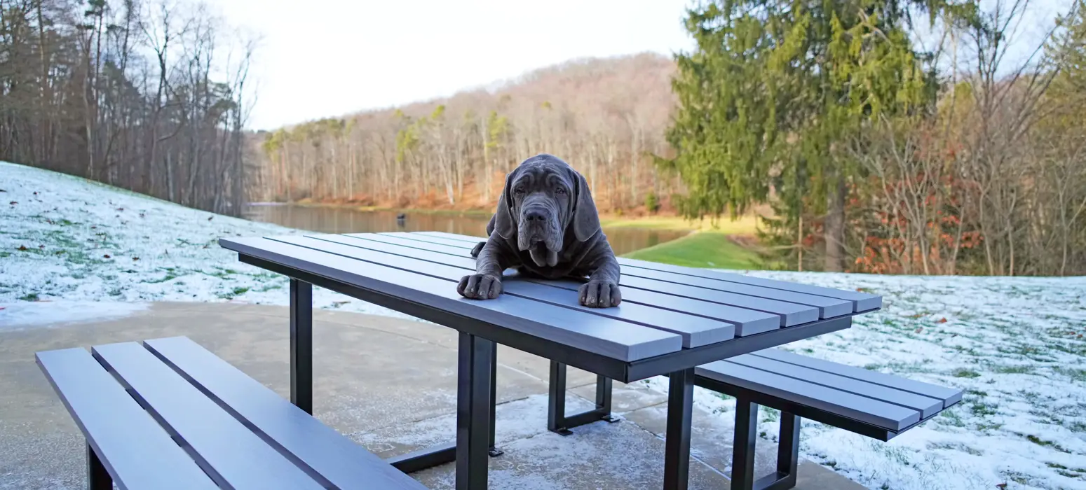 WM6 6 Weatheredgray Glossblack Patio Lake Starchers Dog Callie2