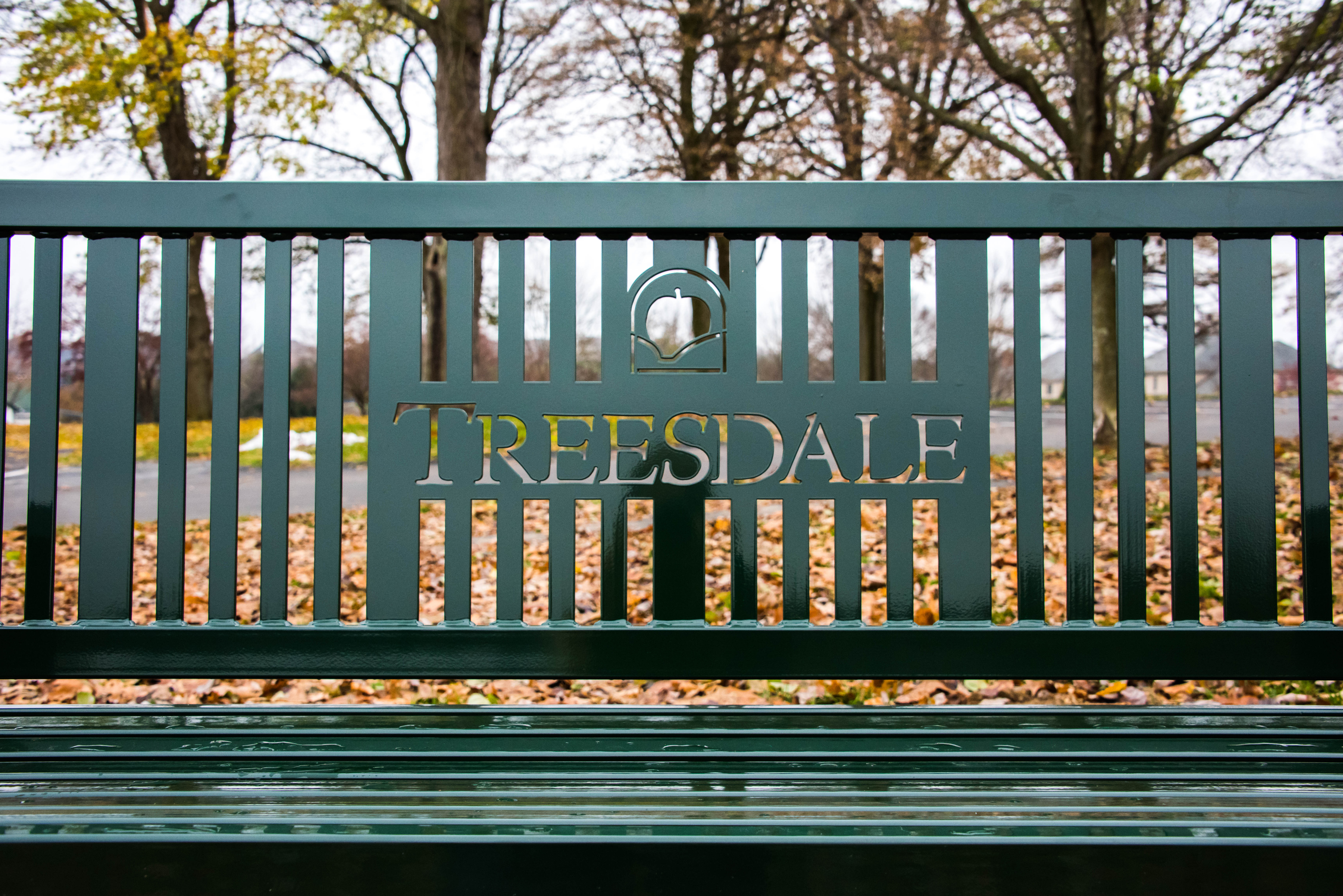 Reading Bench With Back 6Ft Huntergreen Lasercut Residential Treesdalepa