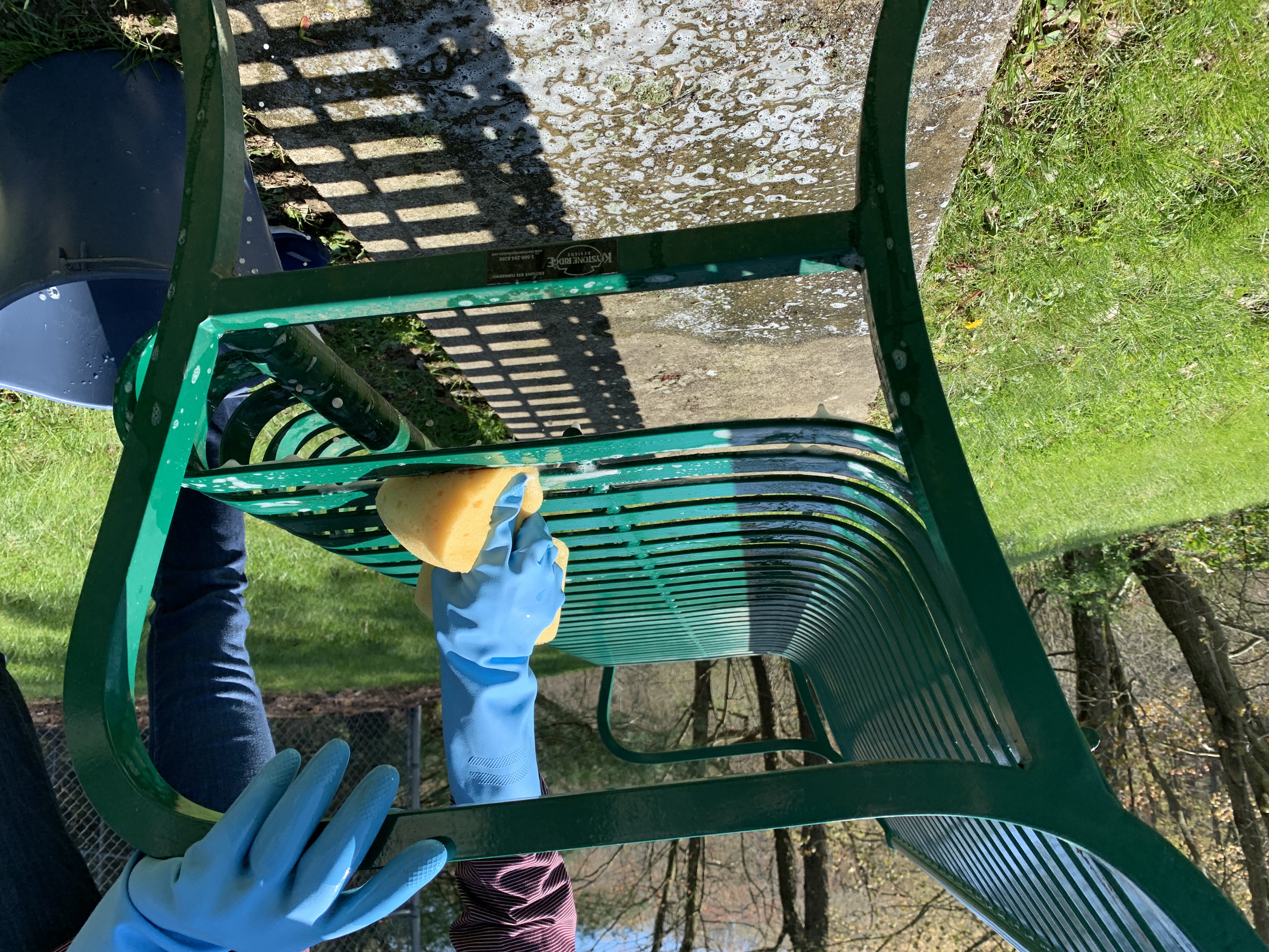 Bench Cleaning