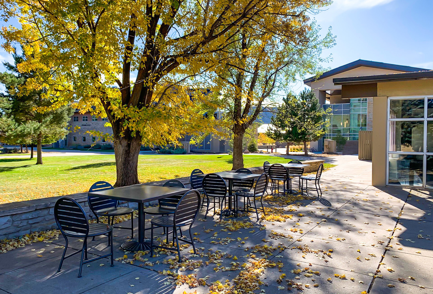 Olivia Table Sets Collegecampus