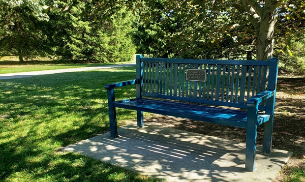 Image 5 Reading Bench Toledo Botanical Garden Green