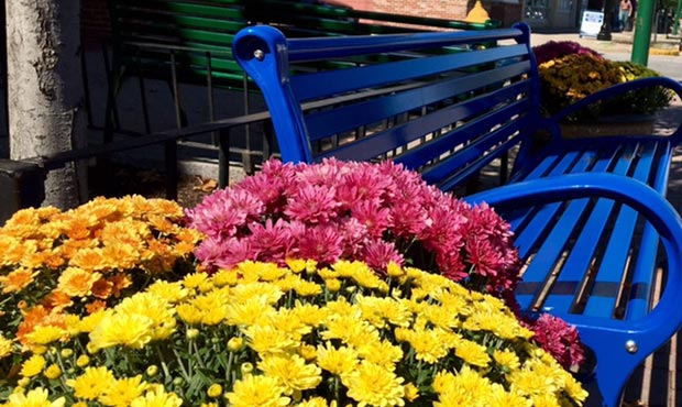 10032018 Blog Site Furniture Schenley Bench