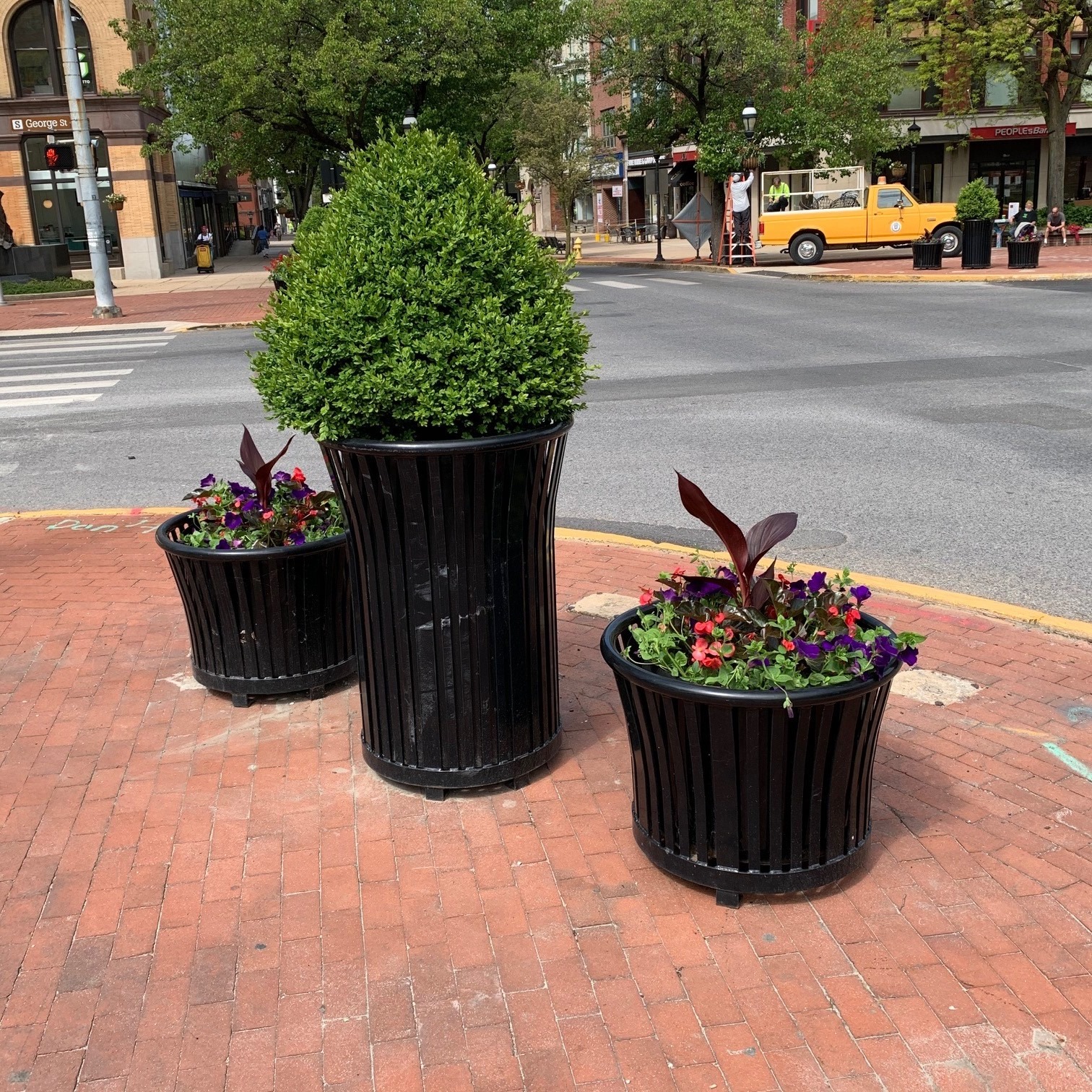 Harmony Planters 10Gal 38Gal Glossblack Municipal Streetscape York PA