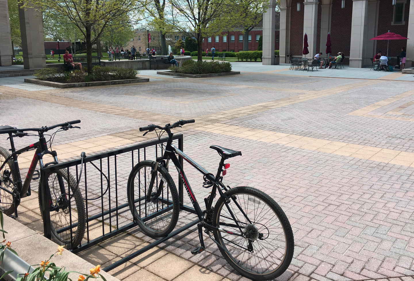 reading-bike-rack-on-campus-7.jpg