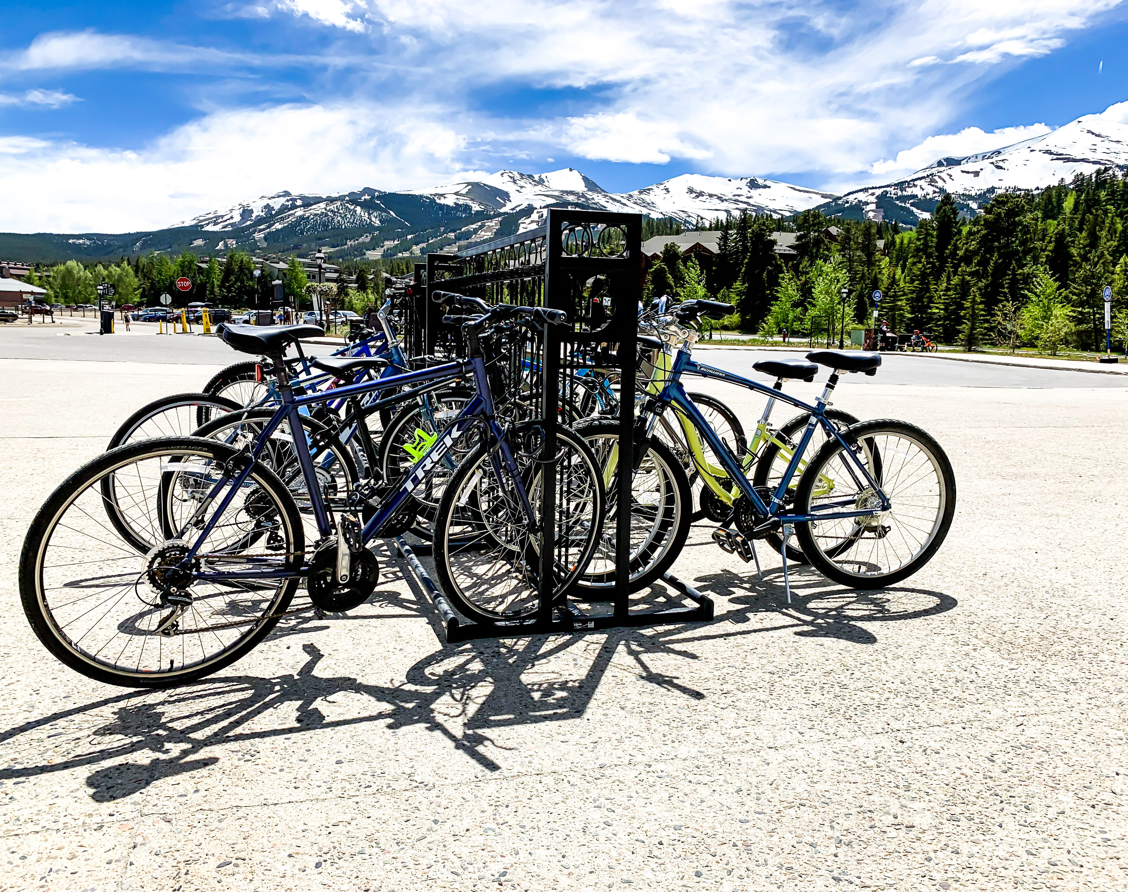 Atlanta Bike Ski Rack Glossblack Breckenridgeco
