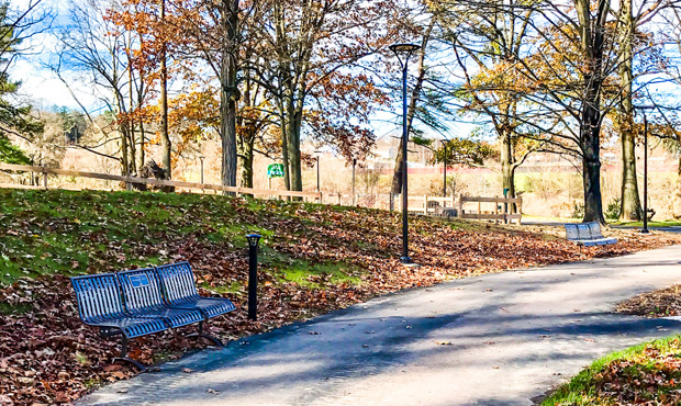Image 9 Pullenium Bench Berks Nature
