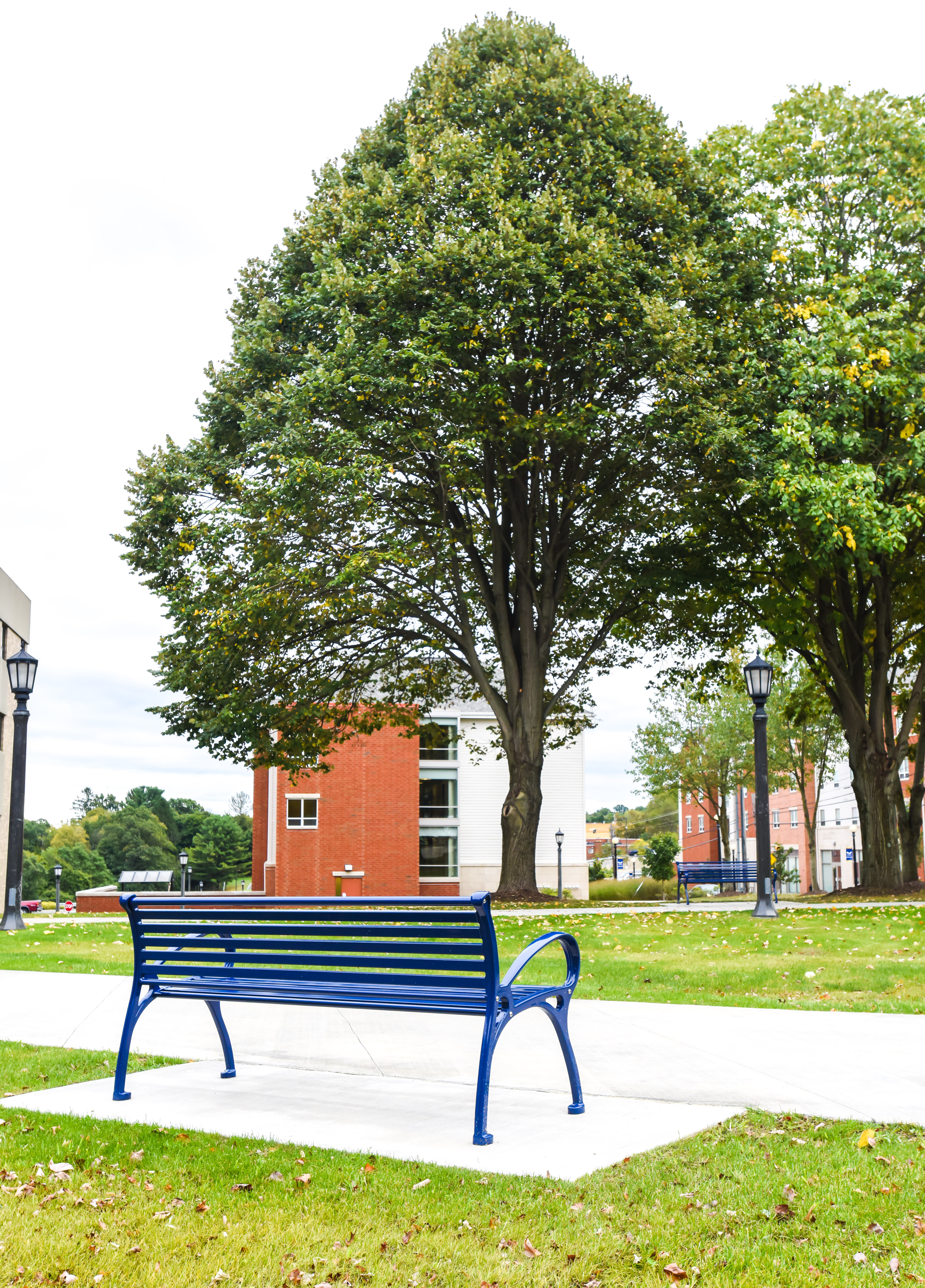Schenley Bench With Back 6Ft Sapphire Education University Clarionpa (1)