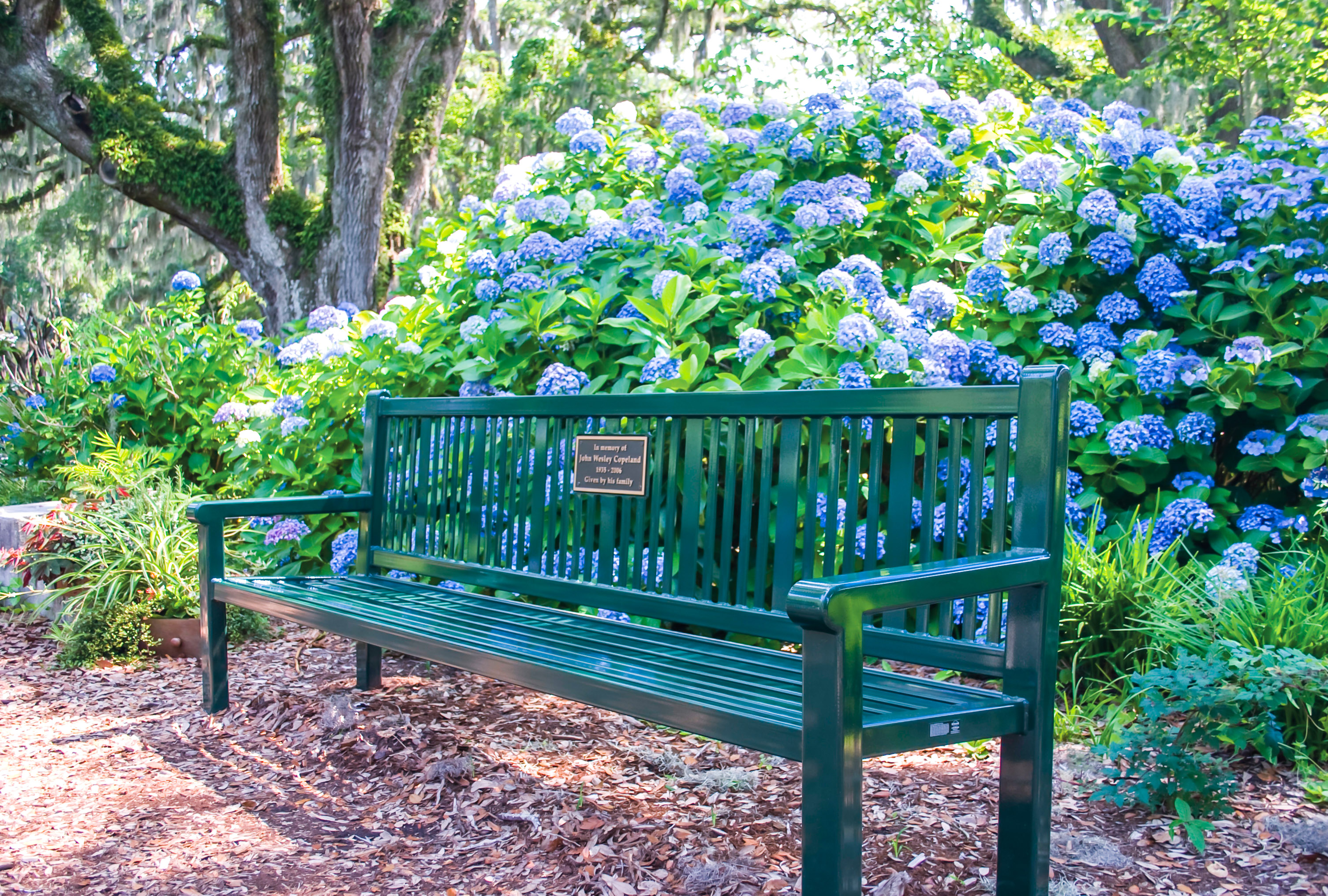Reading Bench With Back 6Ft Plaque Huntergreen Recreation Botanicgarden Myrtlebeachsc