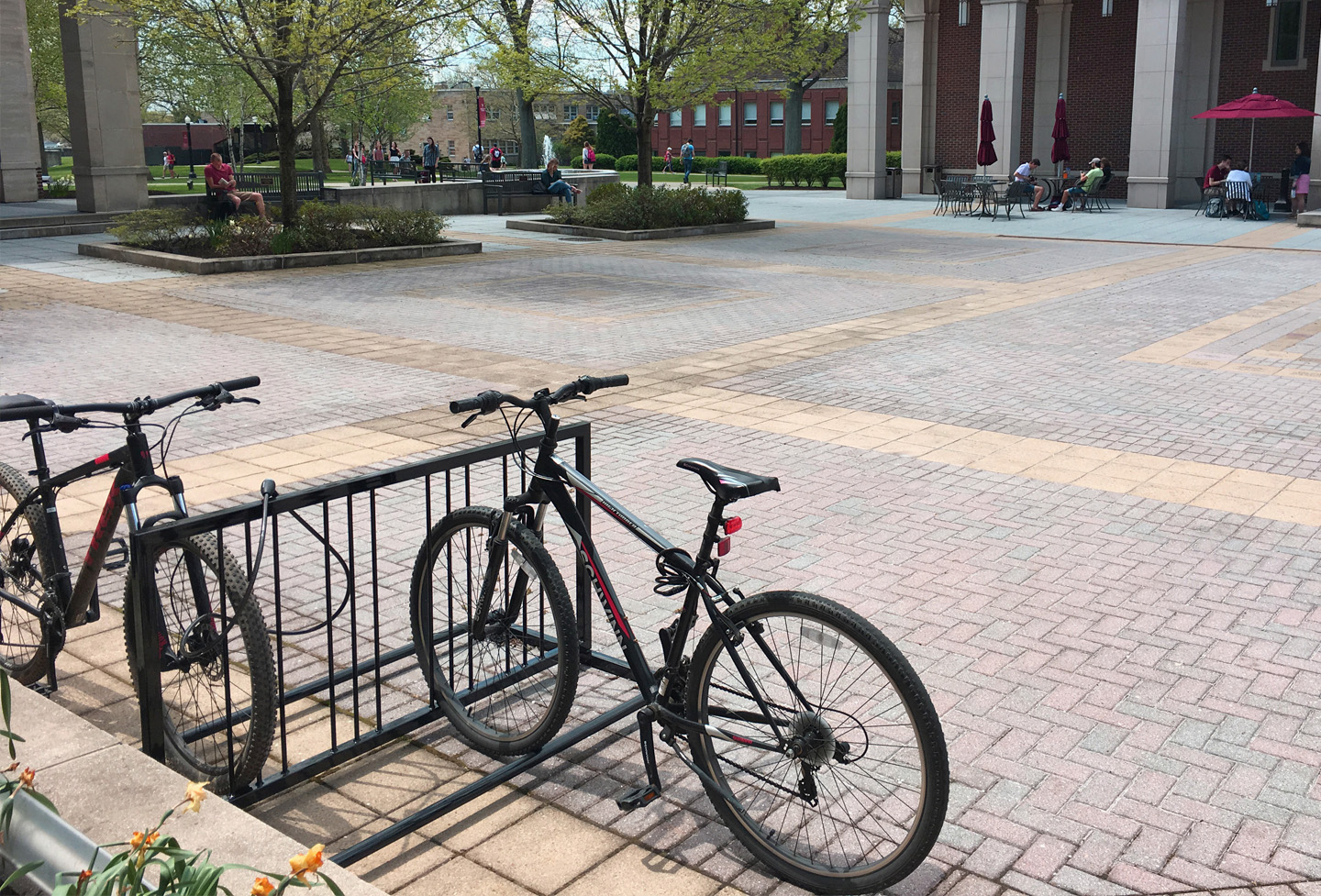 Blog7 Reading Bike Rack Glossblack Education Collegecampus