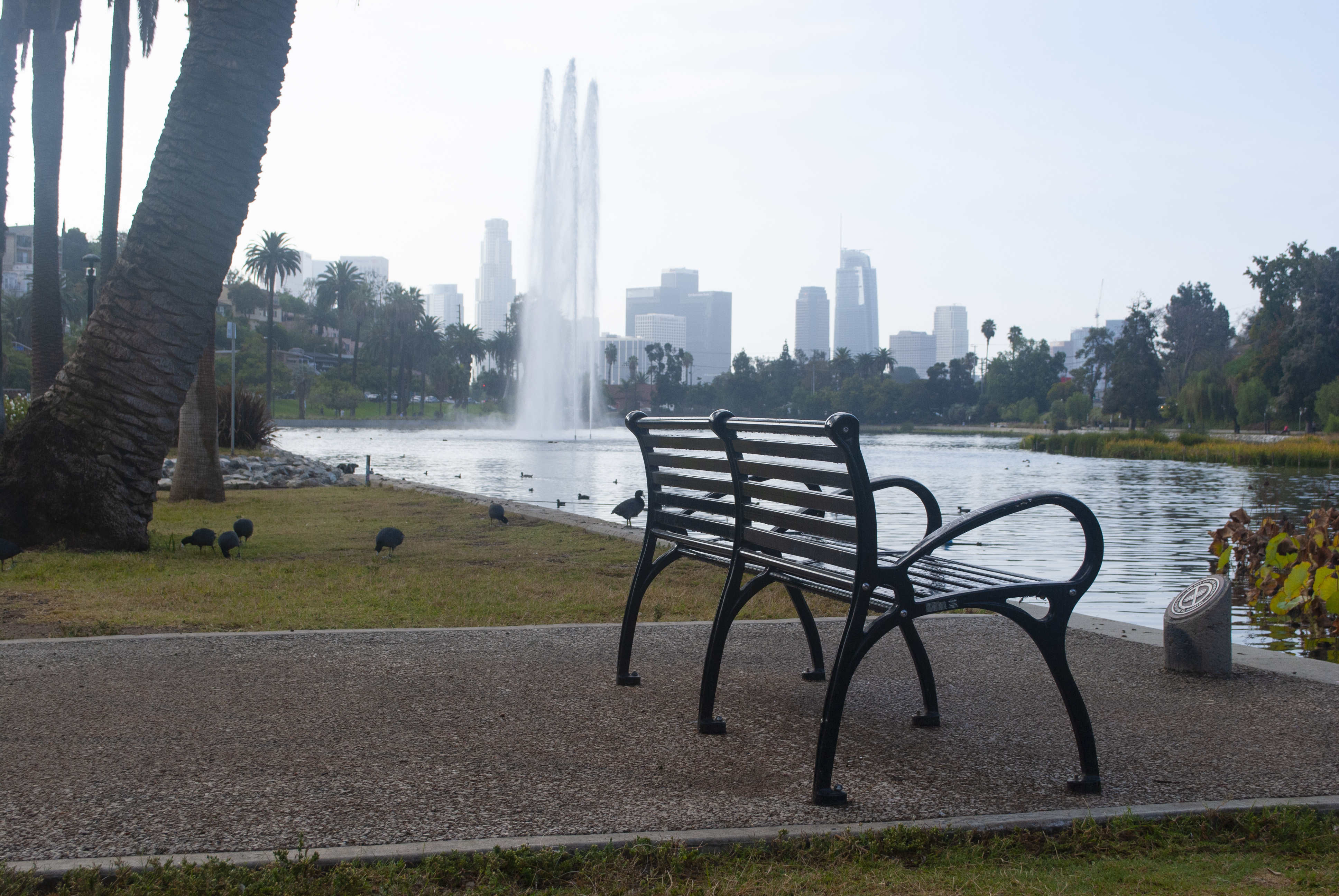 SC26C Glossblack Fountain Echoparklake Losangelesca