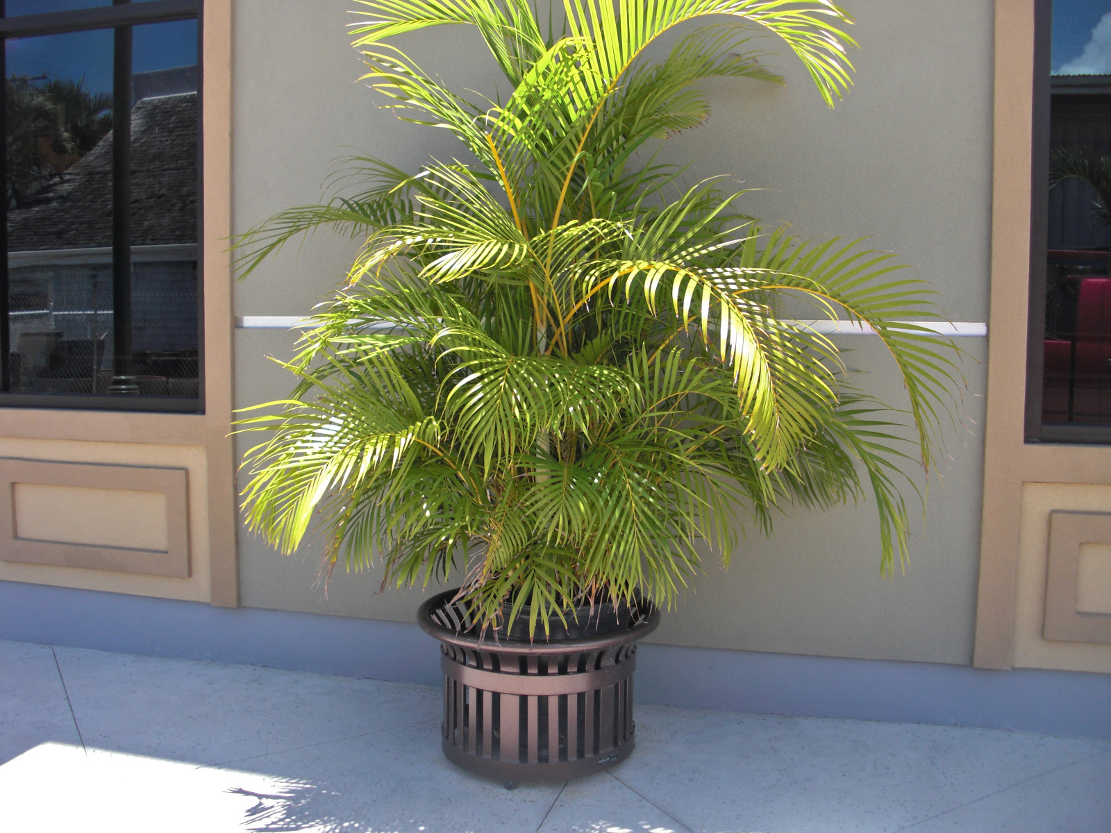 Midtown Planter 10Gal Coppervein Retail Hawaii