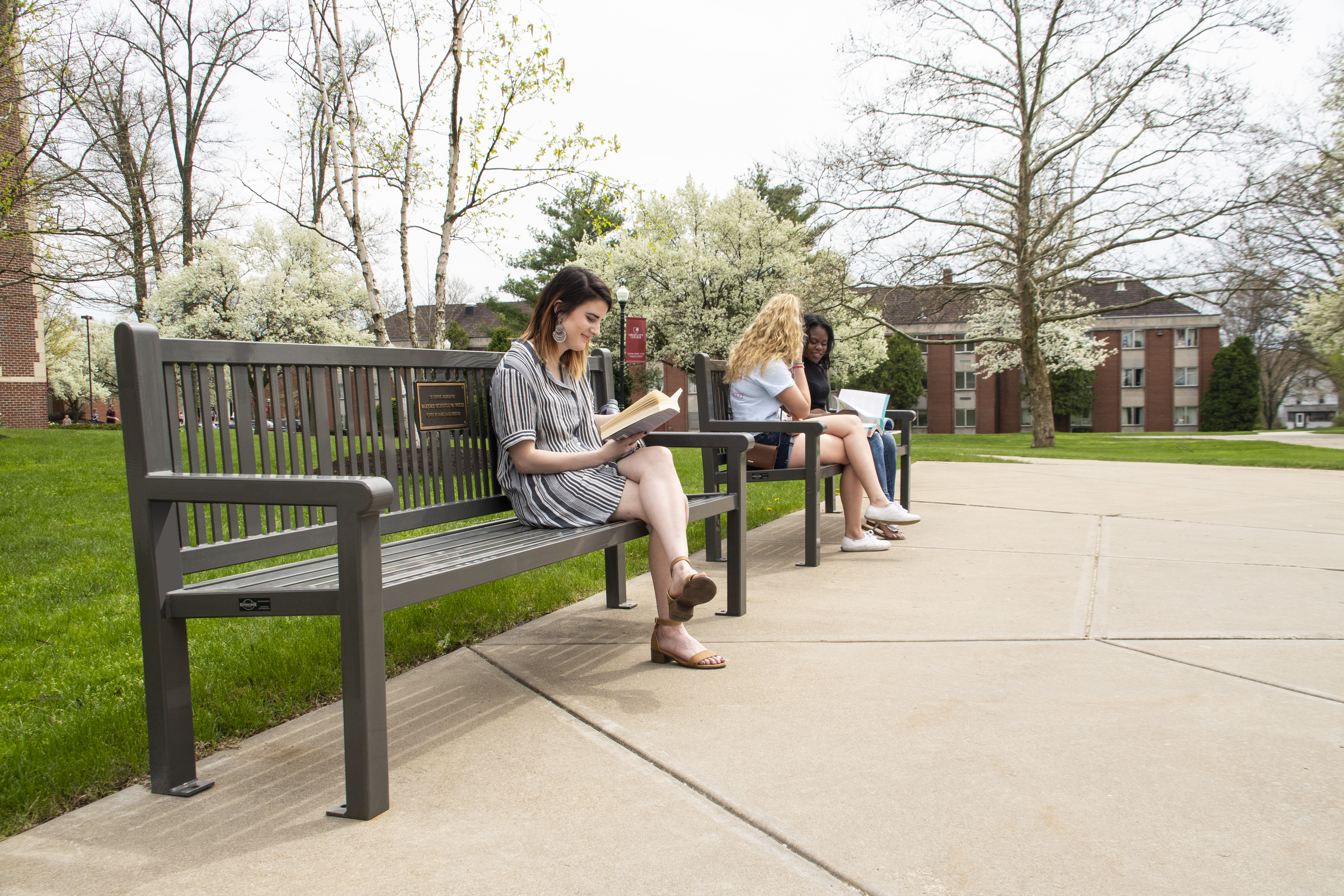 Reading Bench With Back 6Ft Bronze Education College Grovecitypa (1)