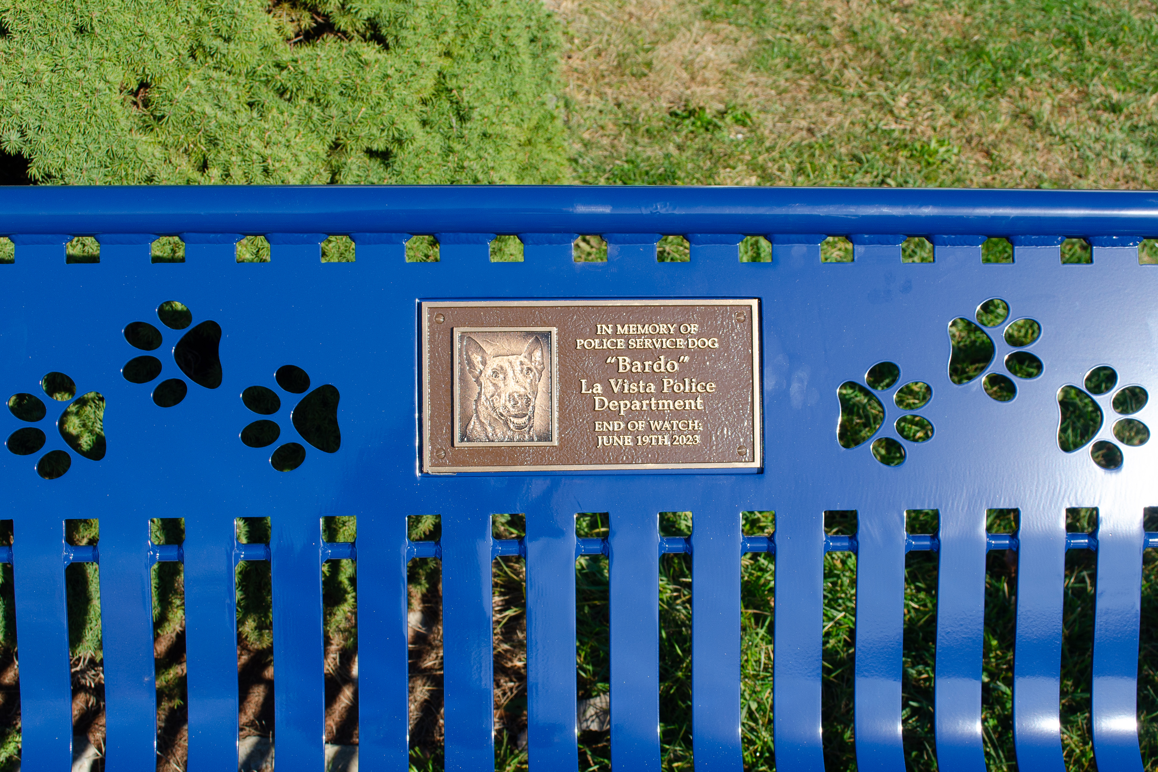 P26 Sapphire Plaque Pawprintlasercut Dog Krdlot2