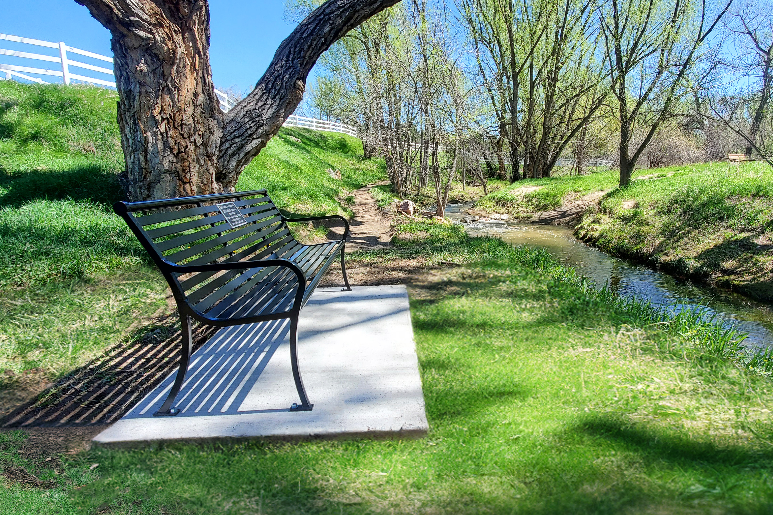 Bessemer Bench With Back 6Ft Plaque Glossblack Municipal Park Trail Greenwoodvillageco