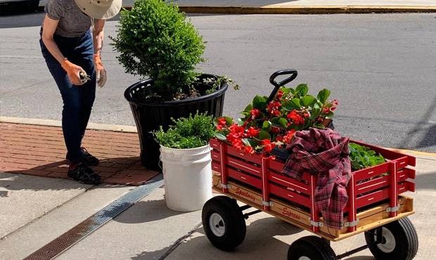 Image 9 Harmony Planter Streetscape