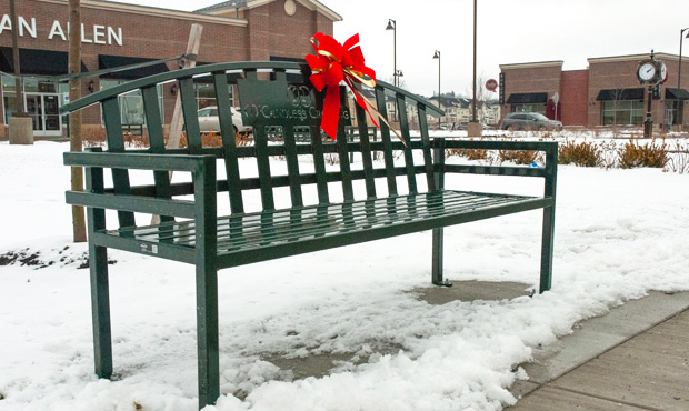 Image 6 Mcconnell Bench Christmas