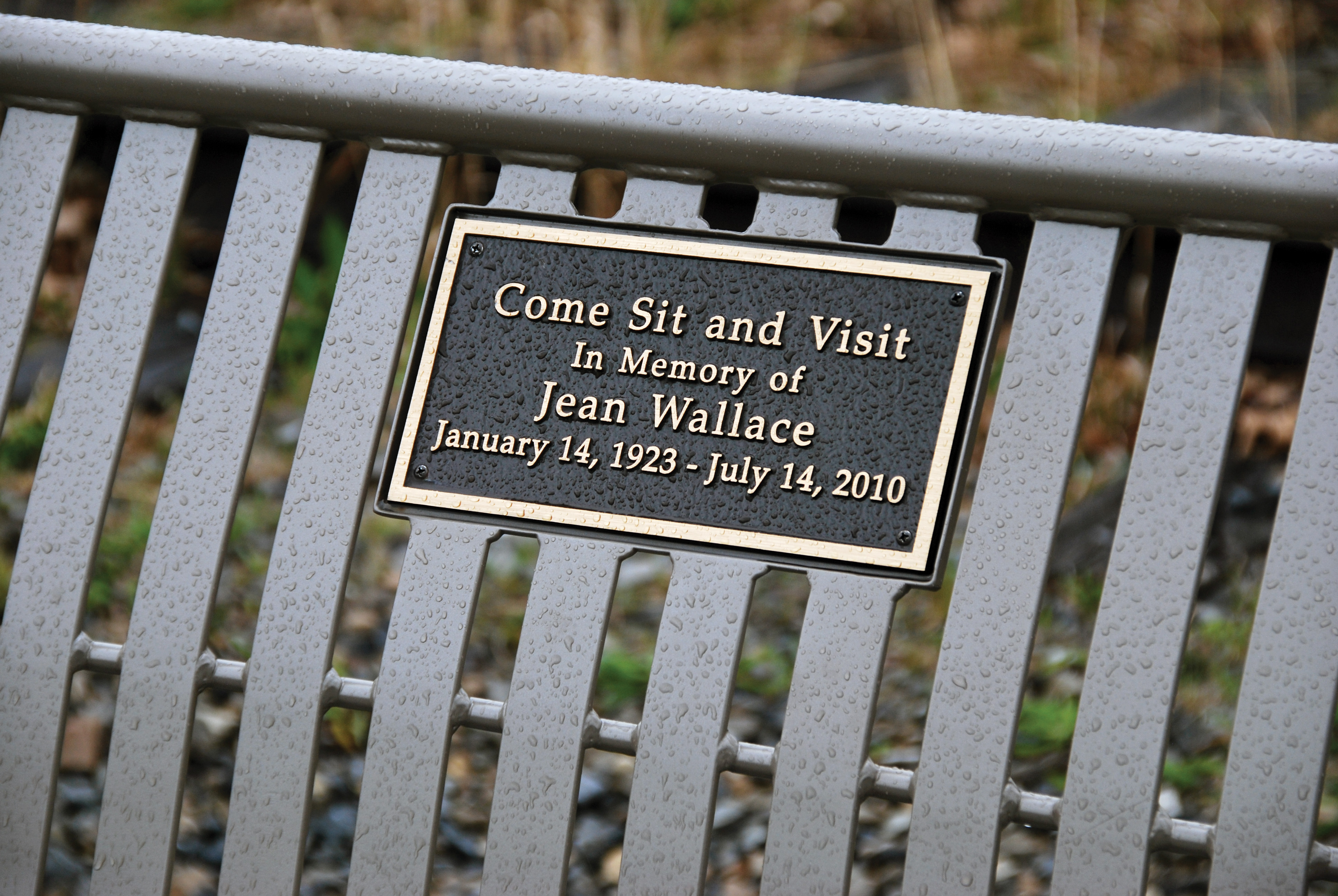 Pullman Bench With Back Bronze Plaque Memorial Closeup