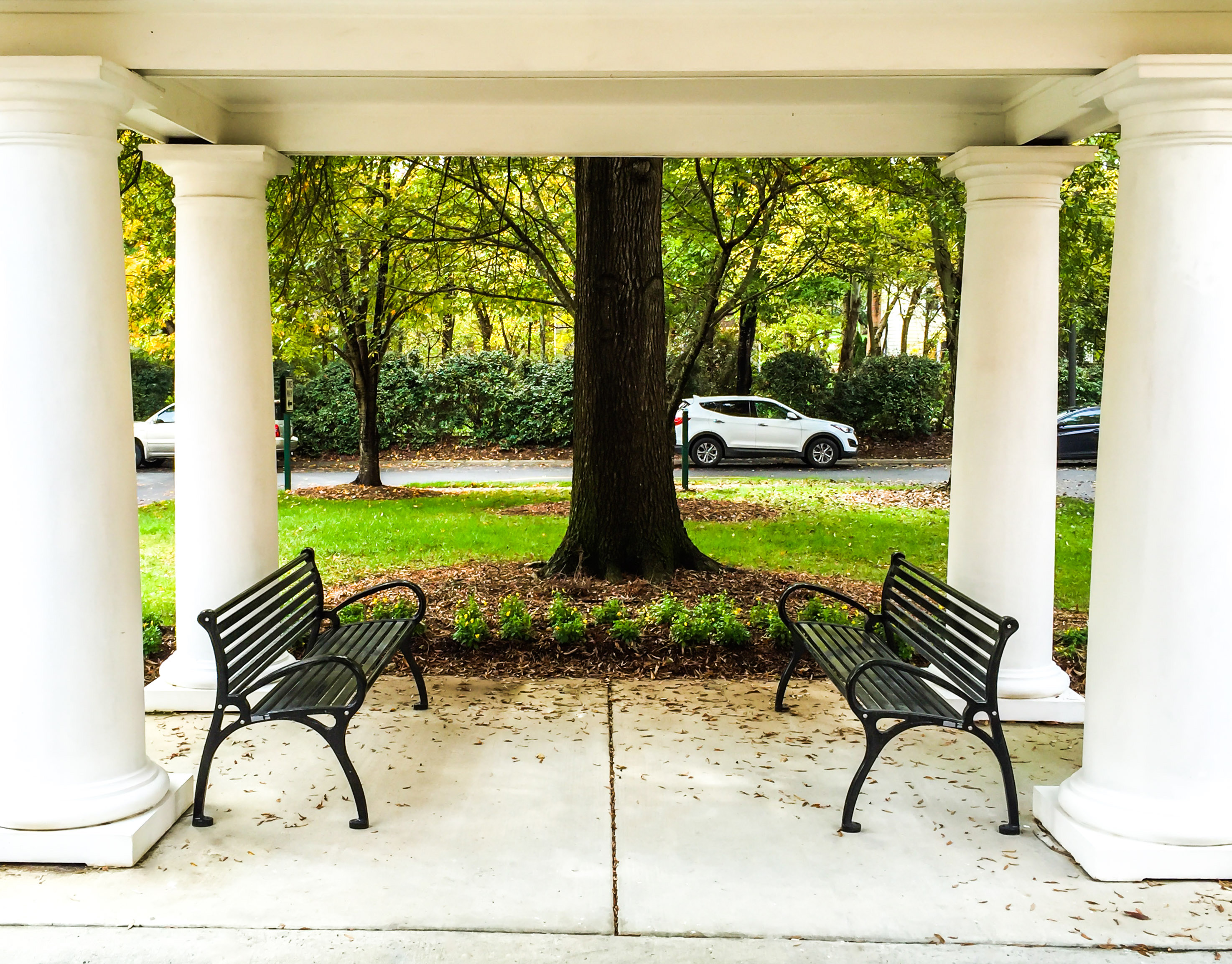 Schenley Bench With Back 6Ft Glossblack Residential Retirementcommunity Charlotte, NC