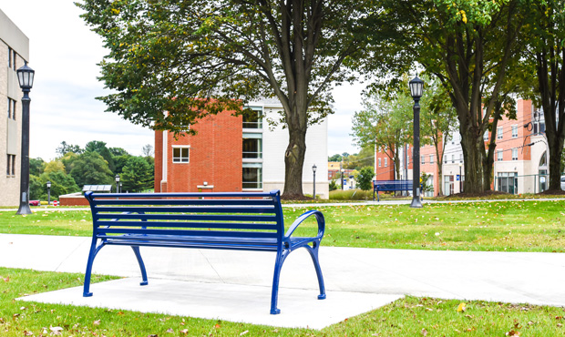 Image 7 Schenley Bench Downtown