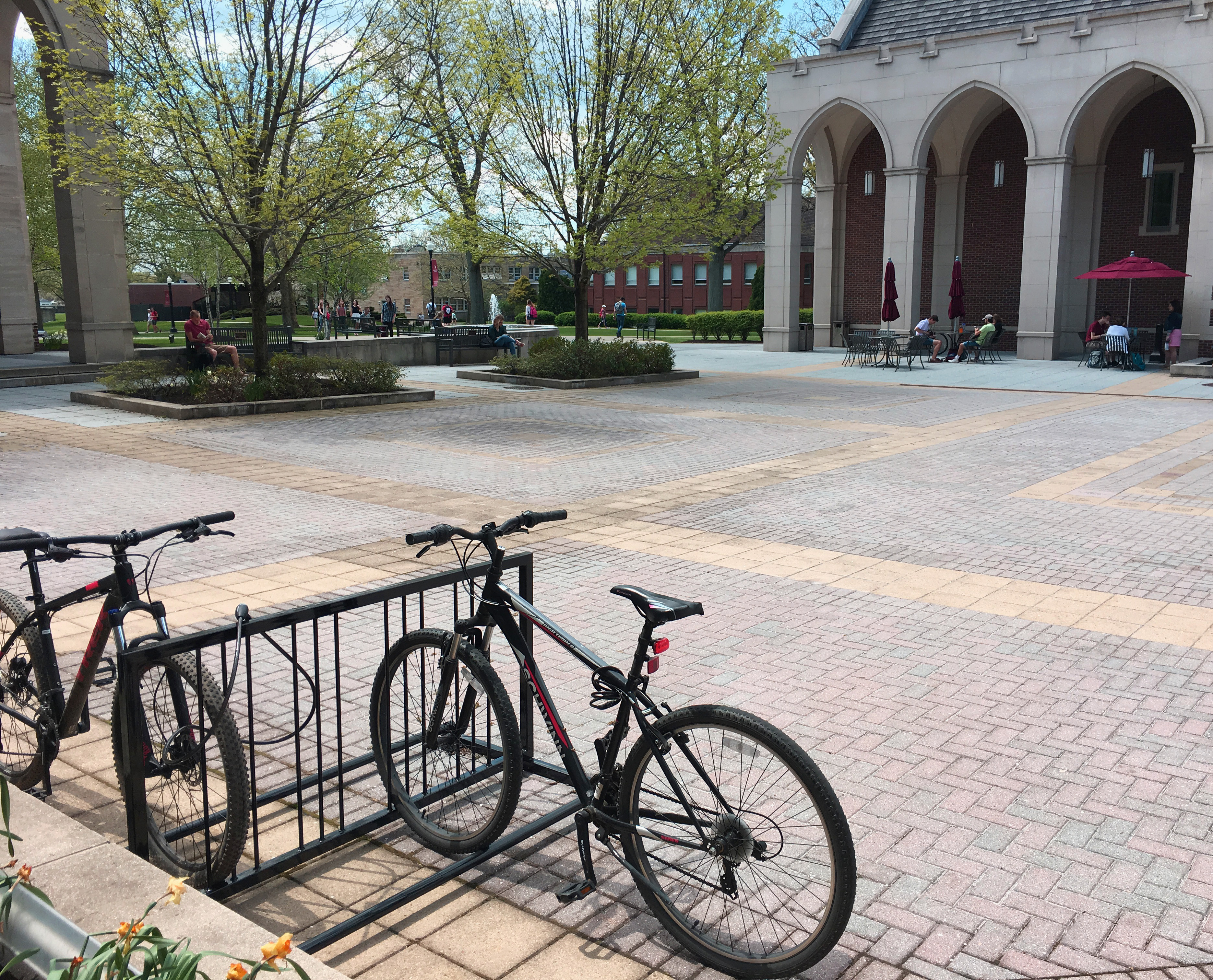 Reading Bike Rack Glossblack Education Collegecampus