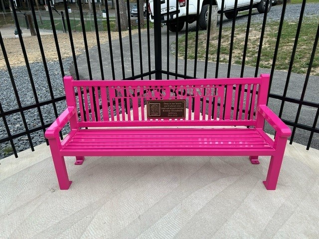 Childrens Reading Bench With Back 4Ft Lasercut Plaque Custompink Playground