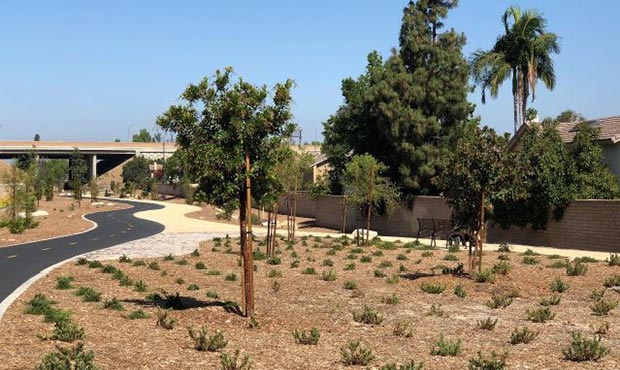 07242019 Blog Site Furniture Landscape