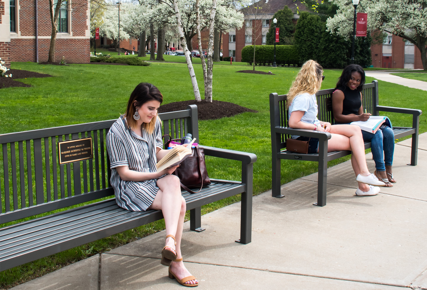 reading-bench-with-back-students-on-campus-1.jpg