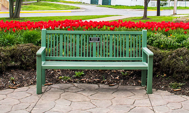 Blog Site Furniture Reading Bench Plaque