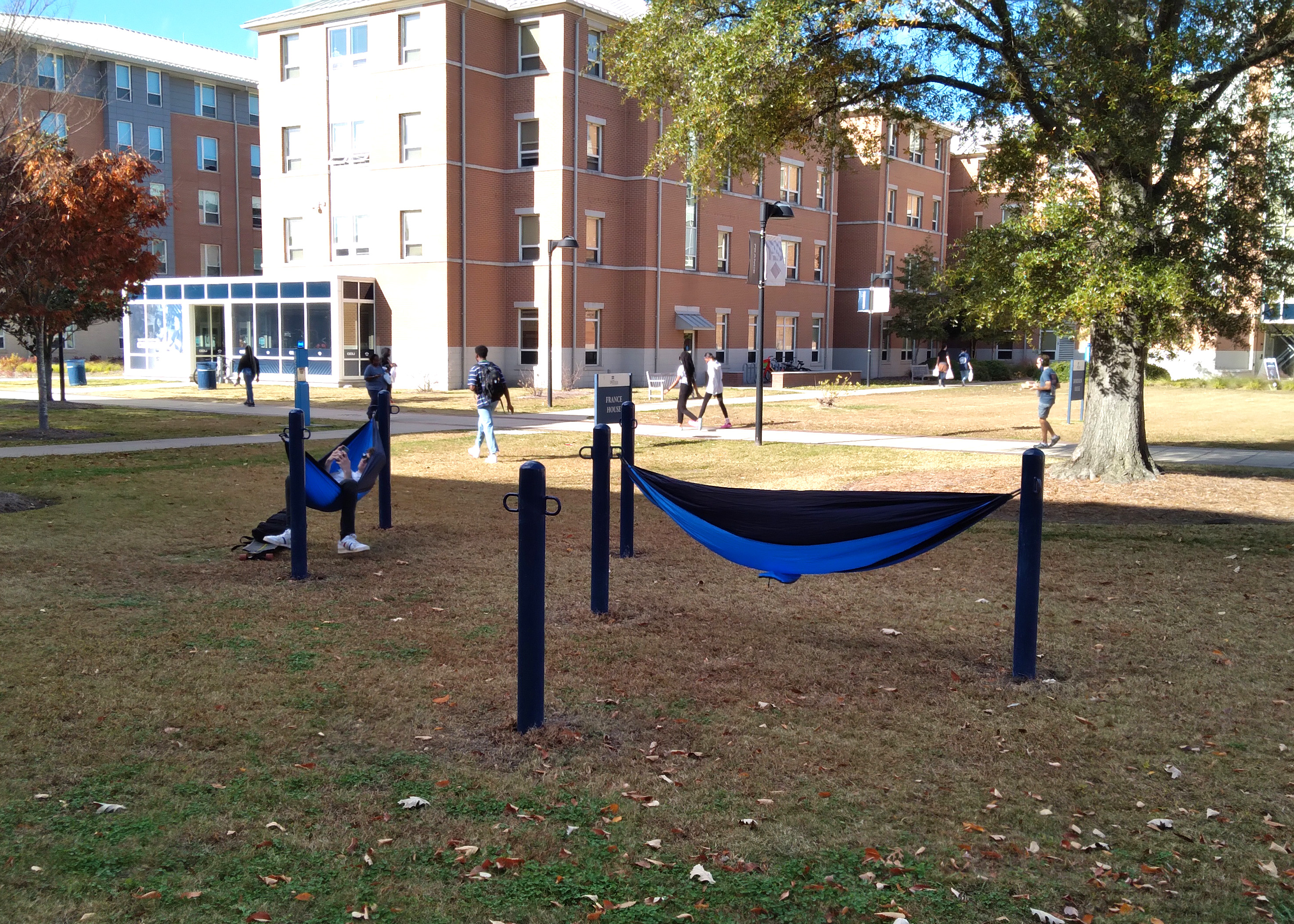 Feature Grove Hammock Bollard 4 Loop Nantucketblue Education University Norfolkva