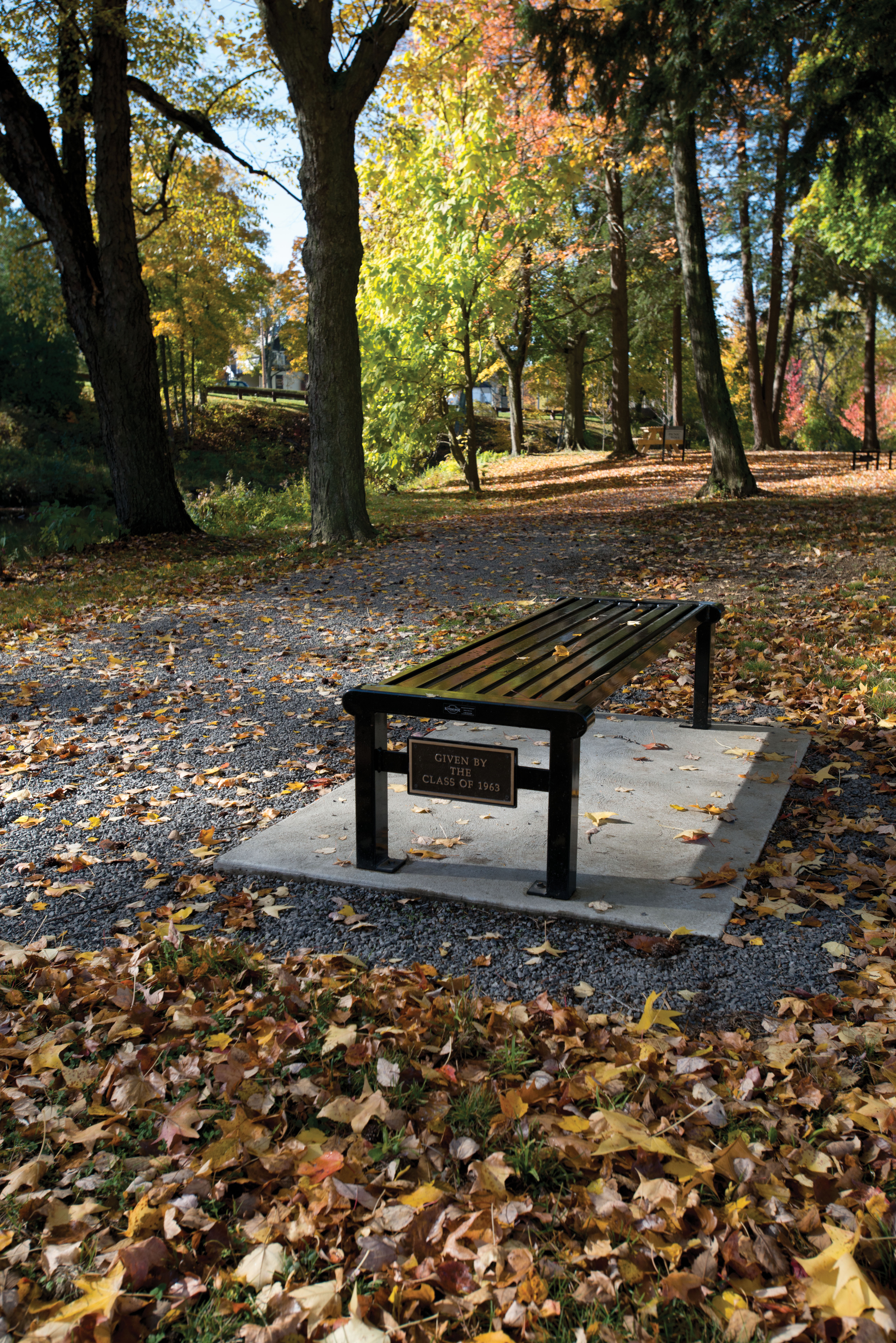 Reading Bench Without Back Plaque Glossblack Memorial Education Collegecampus