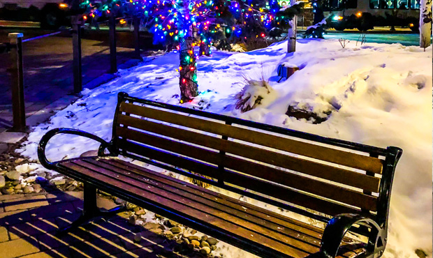 Image 8 Schenley Bench Lights