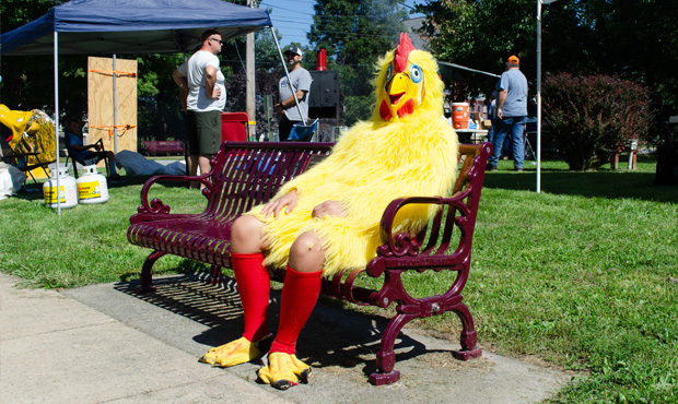 Image 10 Lamplighterchicken