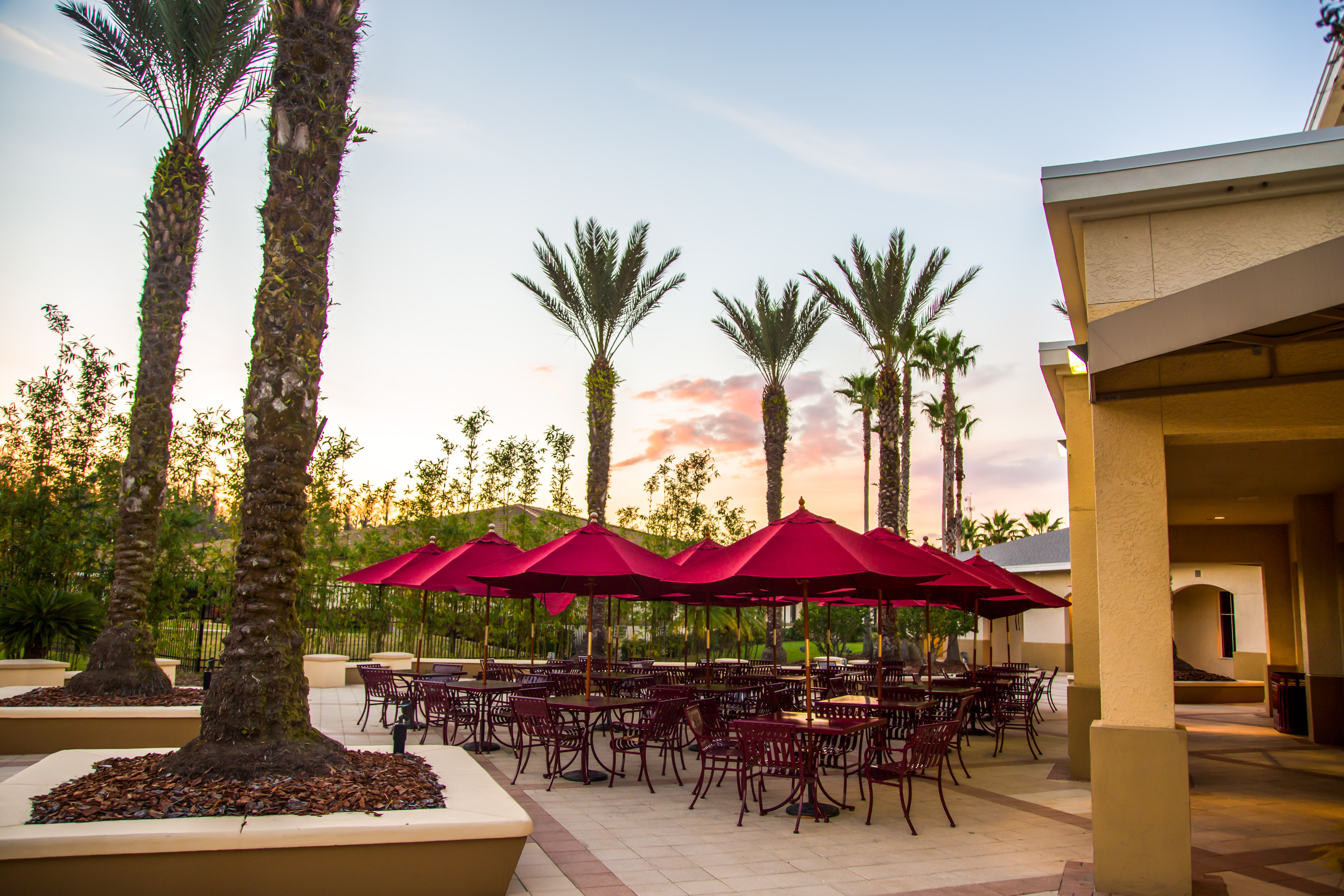 Courtyard Table Burgundy Umbrella Education University FL