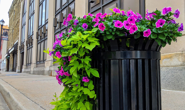 Image 6 Planter