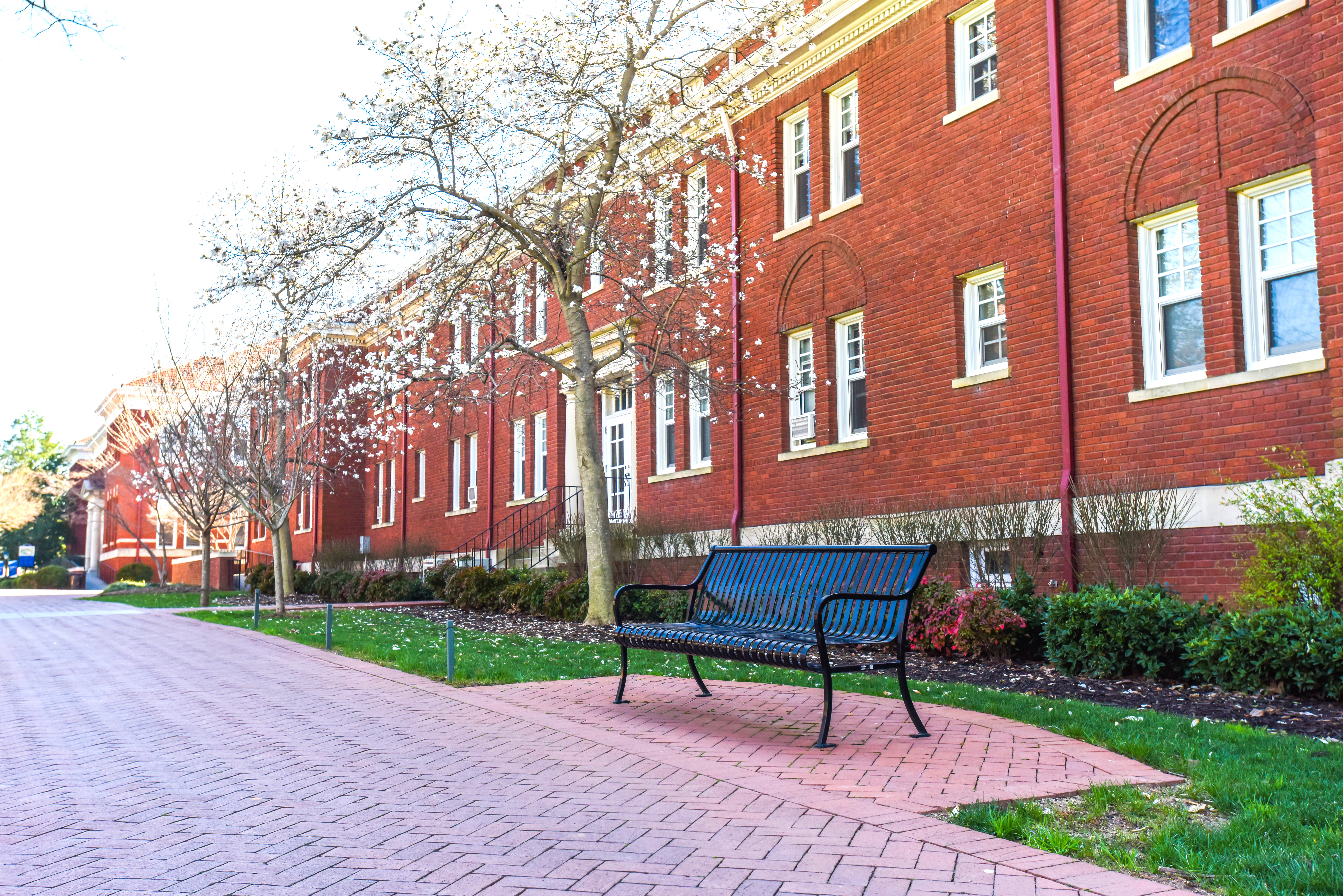 Pullman Bench With Back 6Ft Glossblack Education University Charlottenc