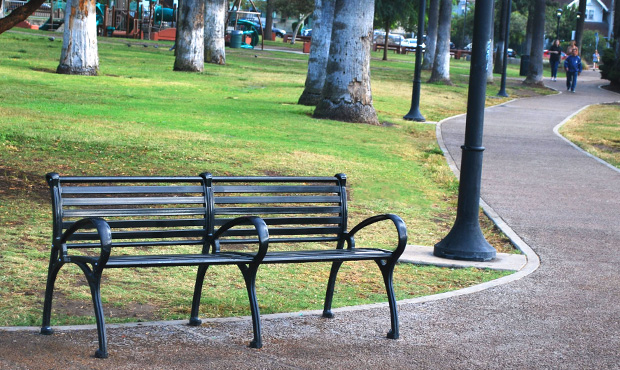 Image 3 Schenley Bench Center Arm