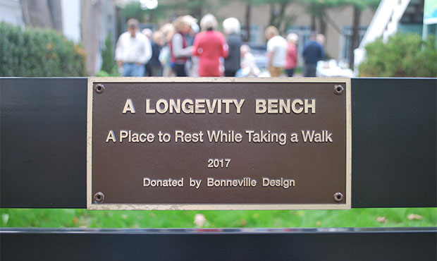 Blog Project Highlight Longevity Bench Project