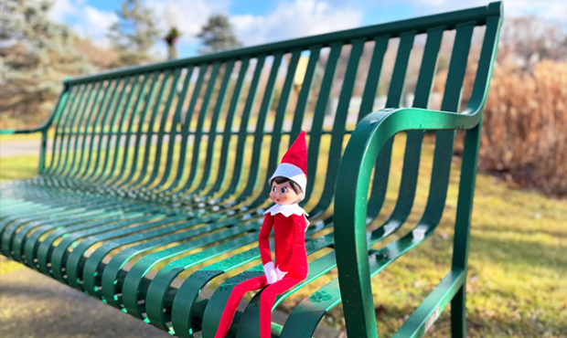 Image 12 Pullman Bench Elf