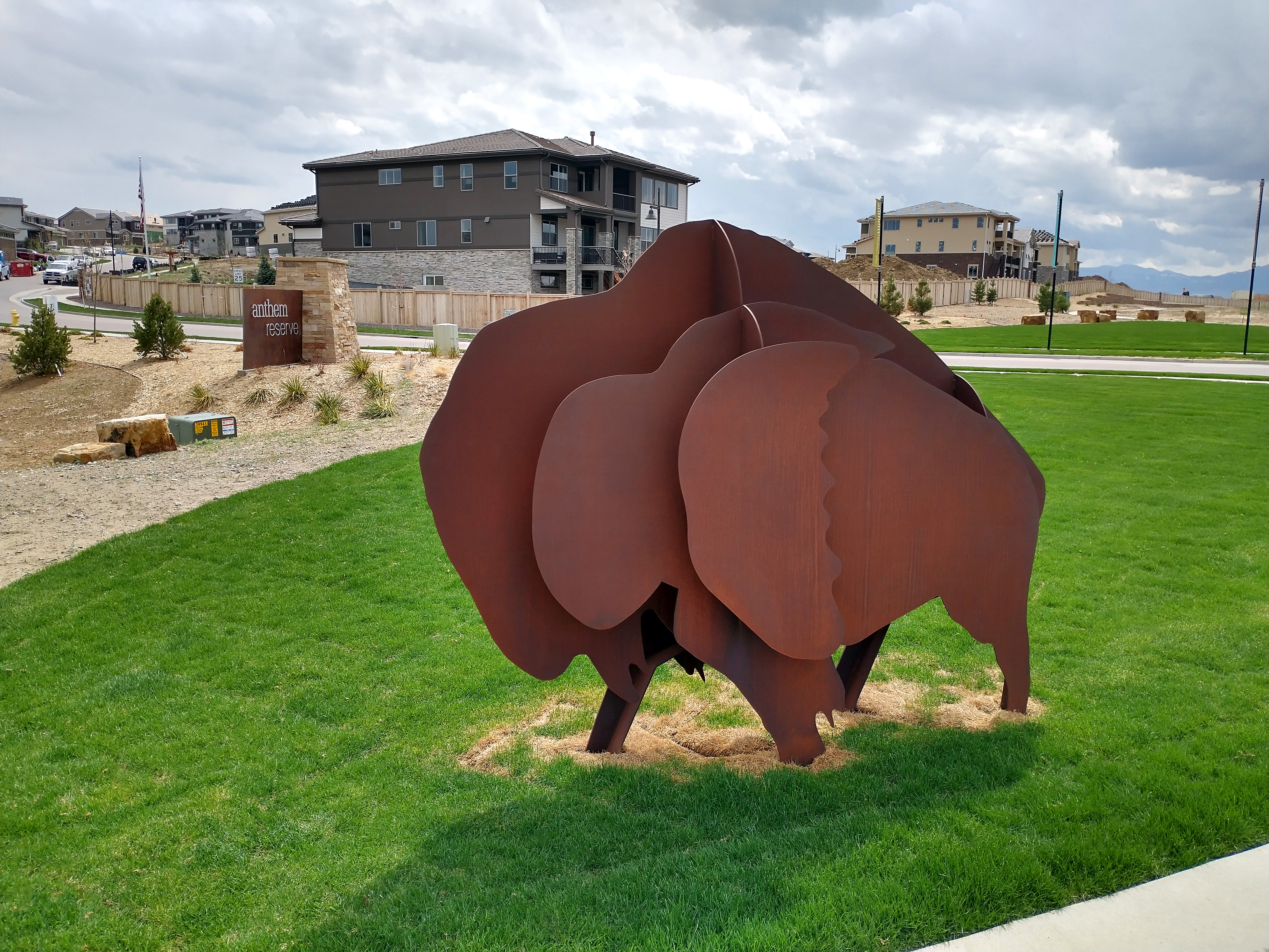 Custom Bison Weathered Steel Residential Development (1)
