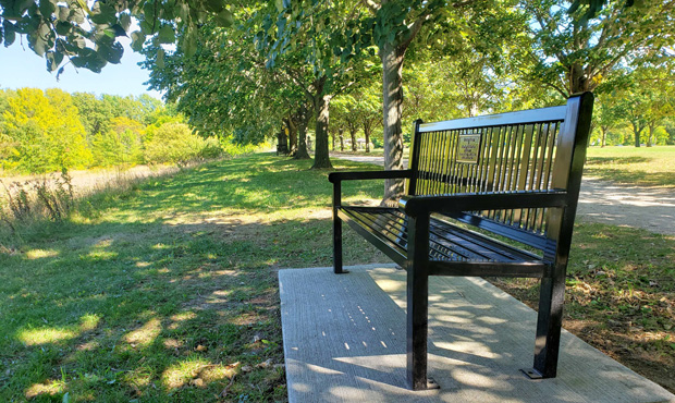 Image 6 Reading Bench Toledo Botanical Garden Black
