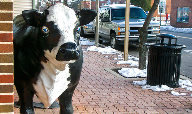 Blog Site Furniture Midtown Litter Receptacle Cow