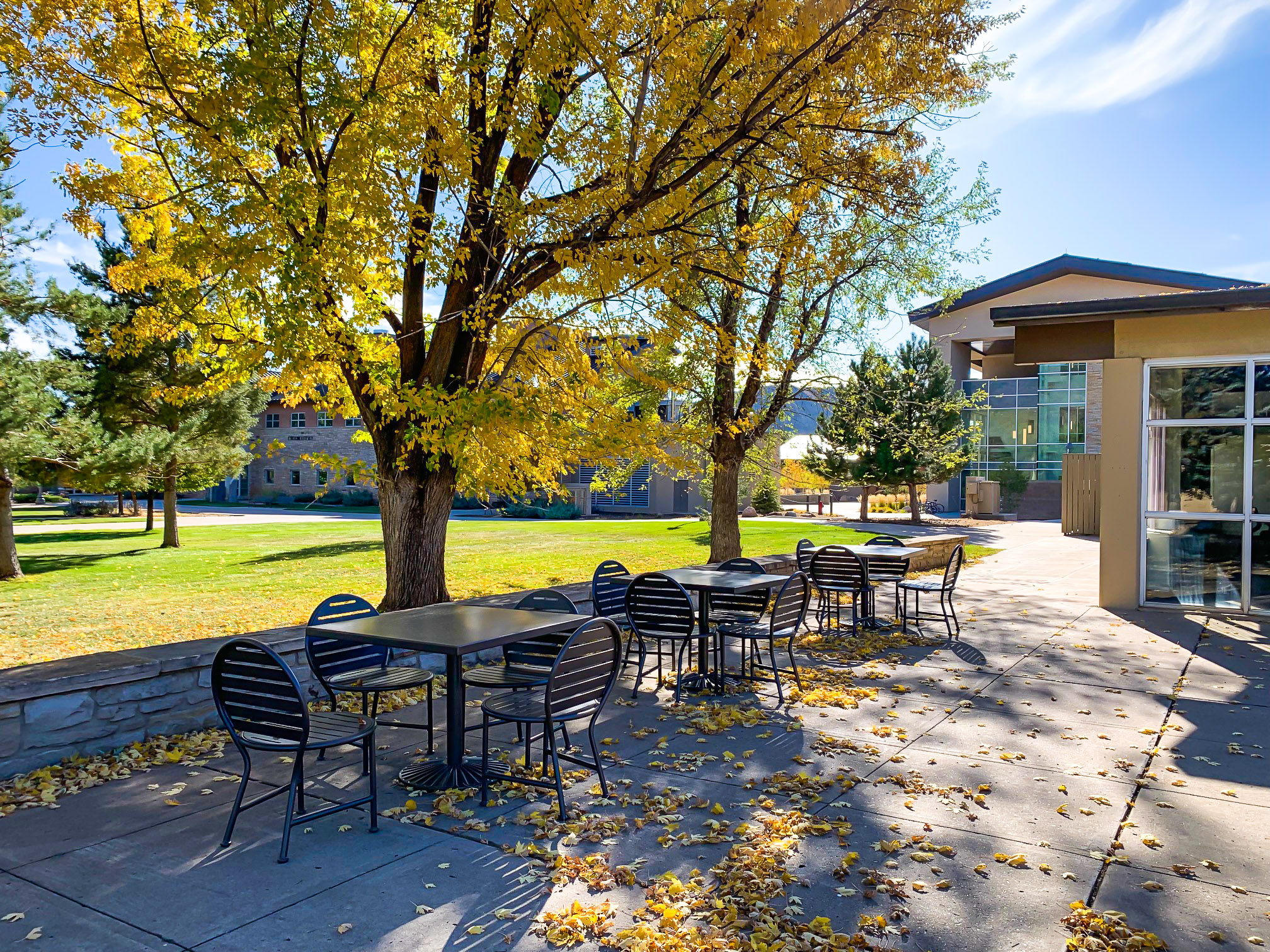 Olivia Chairs Glossblack Education University Durangoco