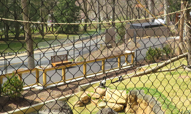 Image 11 Reading Log Zoo Bench