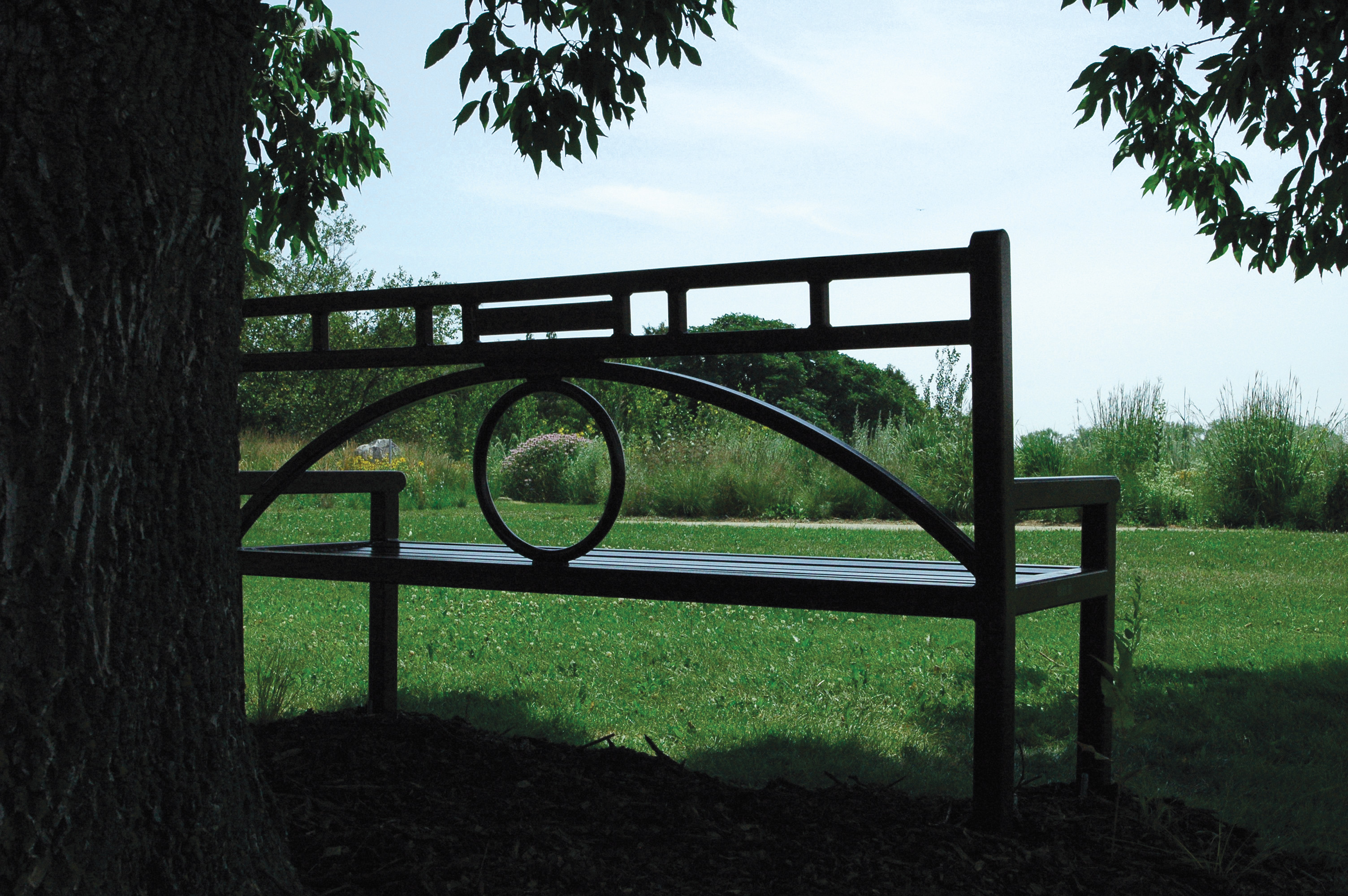 Conservatory Bench With Back 6Ft Glossblack Park Arboretum Madisonwi
