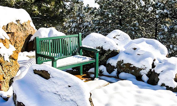 Blog Site Furniture Reading Bench Snow